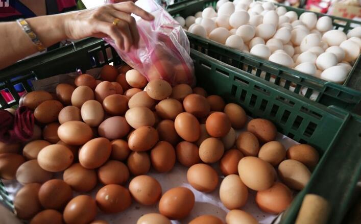 台湾鸡蛋验出杀虫剂芬普尼 连成牧场超标30倍