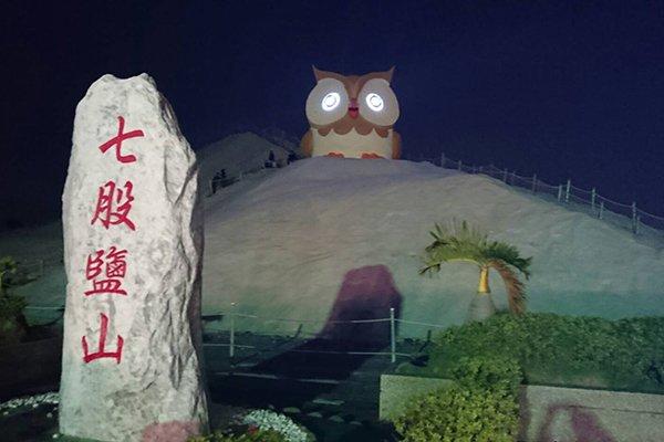 超吸睛巨型猫头鹰 台南必拍新景点