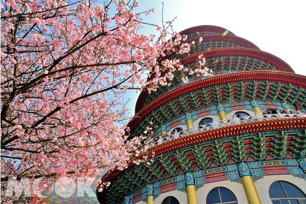 樱花季来啦！2017台湾新北赏樱景点整理推荐