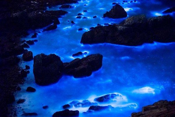 世界奇景蓝眼泪登场 台湾最闪耀海洋星河